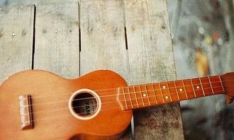 吉他成人鸳鸯教学视频