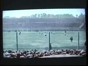 成人滑雪单板视频大全,视频大全带你畅游雪场