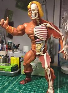 穿戴成人玩具视频,探索私密情趣生活新视角