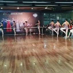 成人舞蹈小林子视频教学,轻松入门，舞动人生