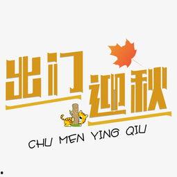 成人免视频素材文案大全,轻松打造创意内容