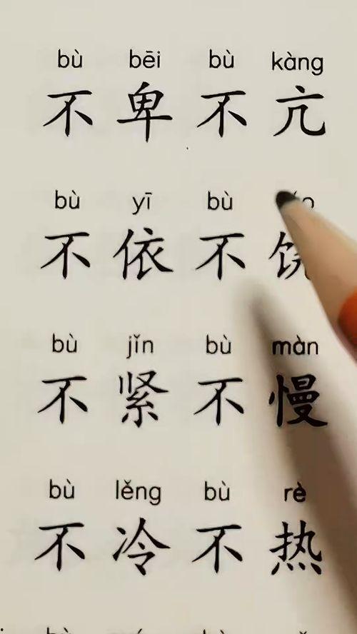 成人拼音识字全部教学视频,成人拼音识字教学视频精华概述