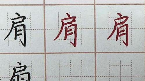 成人写字笔顺怎么写视频,轻松掌握规范书写技巧