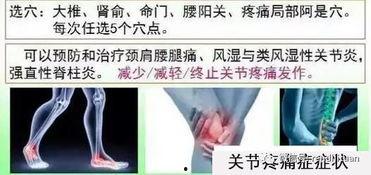 中药成人贴敷疗法视频,传统养生新视角