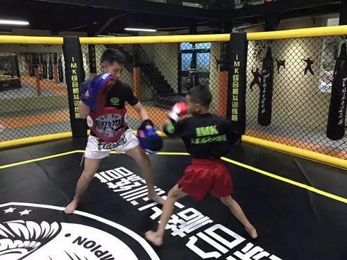 成人团体搏击视频大全教学,跟随成人团体搏击视频大全，掌握搏击技巧