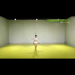 成人主题舞蹈视频大全,主题舞蹈视频大全精选回顾