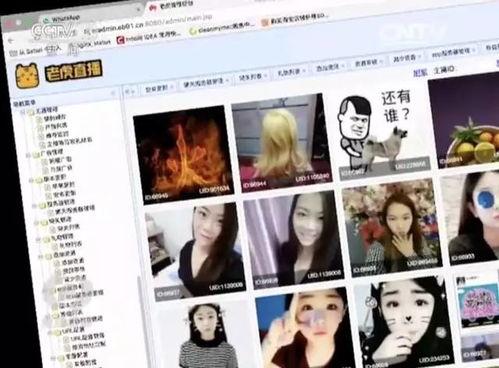 在线成人性爱直播视频