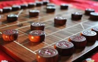 成人象棋围棋教程视频全集,视频全集精华概述