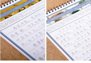 成人怎么练字行楷视频