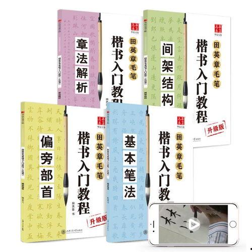 成人练字女生教学视频,成人练字教学视频深度解析